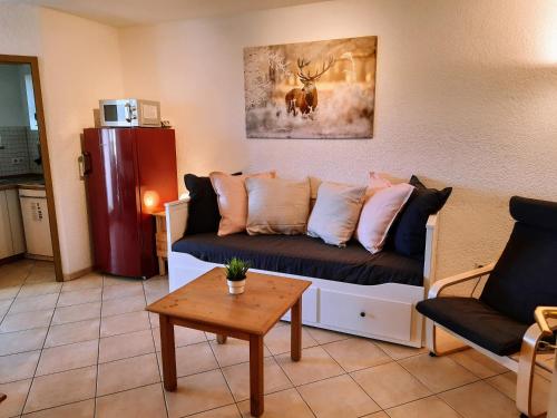 Residenz Schauinsland, ganzes Appartement, Sauna