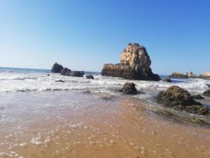 Rocha Praia Mar Beach Front Line Bay