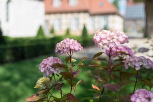 Schloss Beuchow