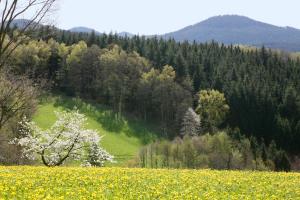 Appartements Schmalzerhisli Schwarzenbruch 12 77709 Oberwolfach Bade-Wurtemberg