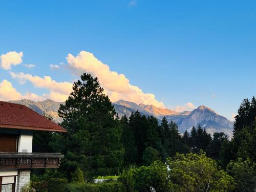 Schöne gemütliche Wohnung in traumhafter Lage bei Ofterschwang