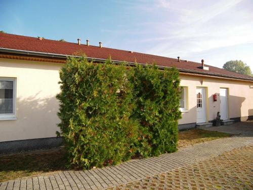 Schwab_ Ferienwohnungen in Zempin