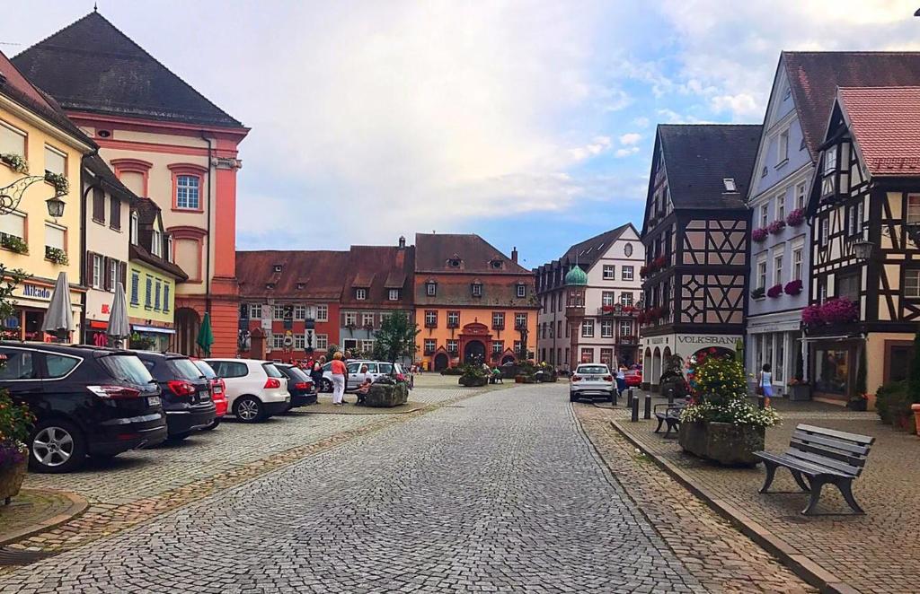 Appartements Schwarzwald Home nahe Europapark Rust 25A Brückenhäuserstraße 77723 Gengenbach