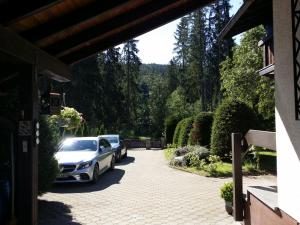 Schwarzwald - Villa Appartments Titisee