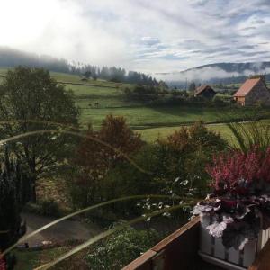 Appartements SchwarzWild - Ferienwohnung und Ferienzimmer Schönegründerstr. 78 72270 Baiersbronn Bade-Wurtemberg
