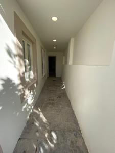 Sé Velha studios