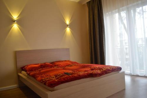 Secret Studio Lux SPECIAL OFFER