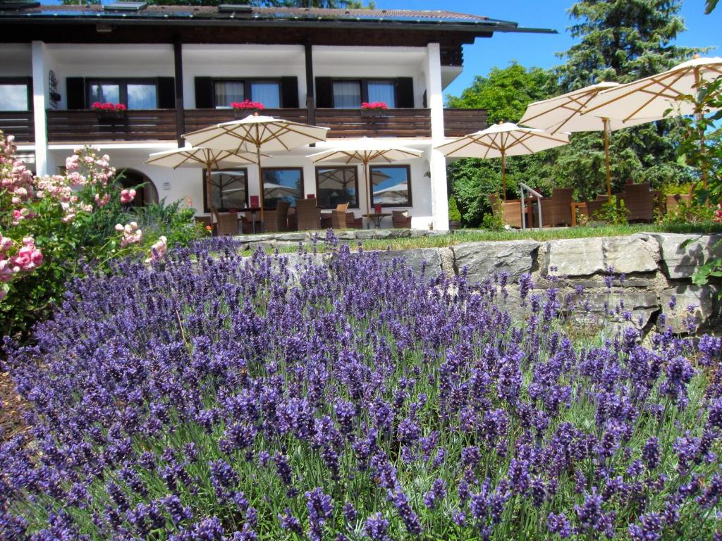 Seehof Apartments Seestraße 44, 82432 Lac de Walchen