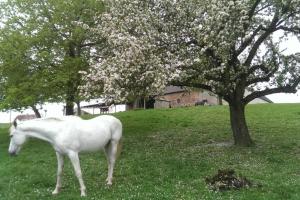 Sinnes Wandel Hof Serka