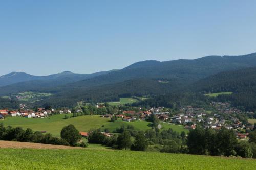 Sixt Martina