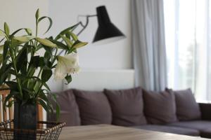 Sommerloft Rerik