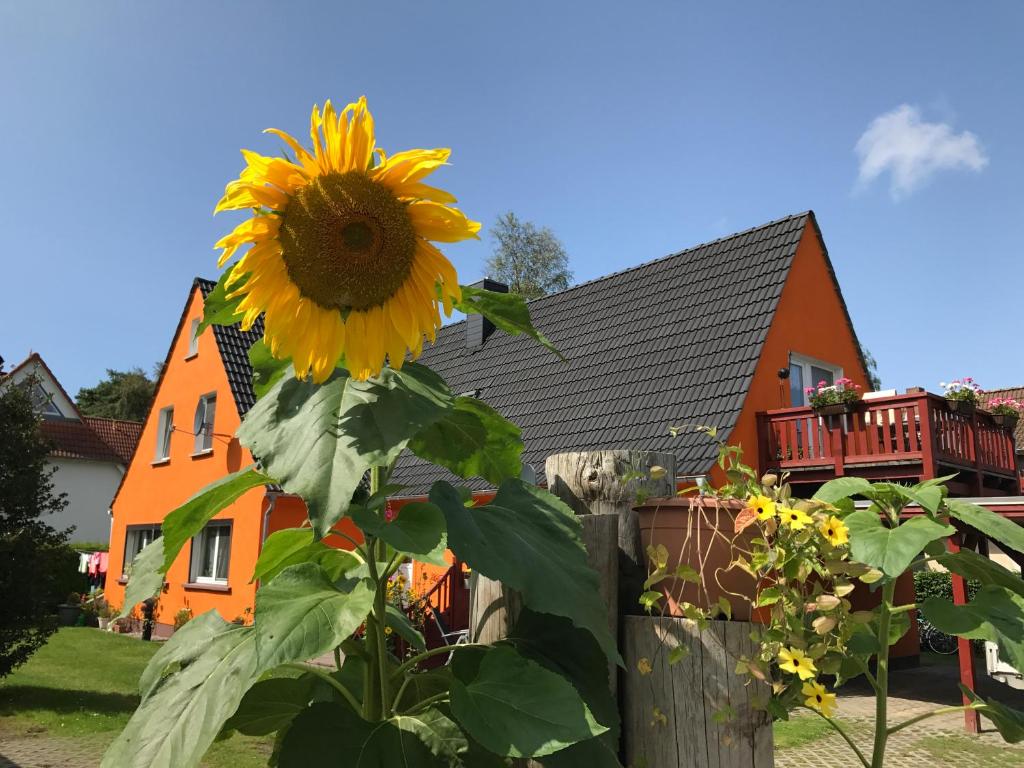 Sonnenblumenhaus Niege Reeg 9, 18375 Prerow