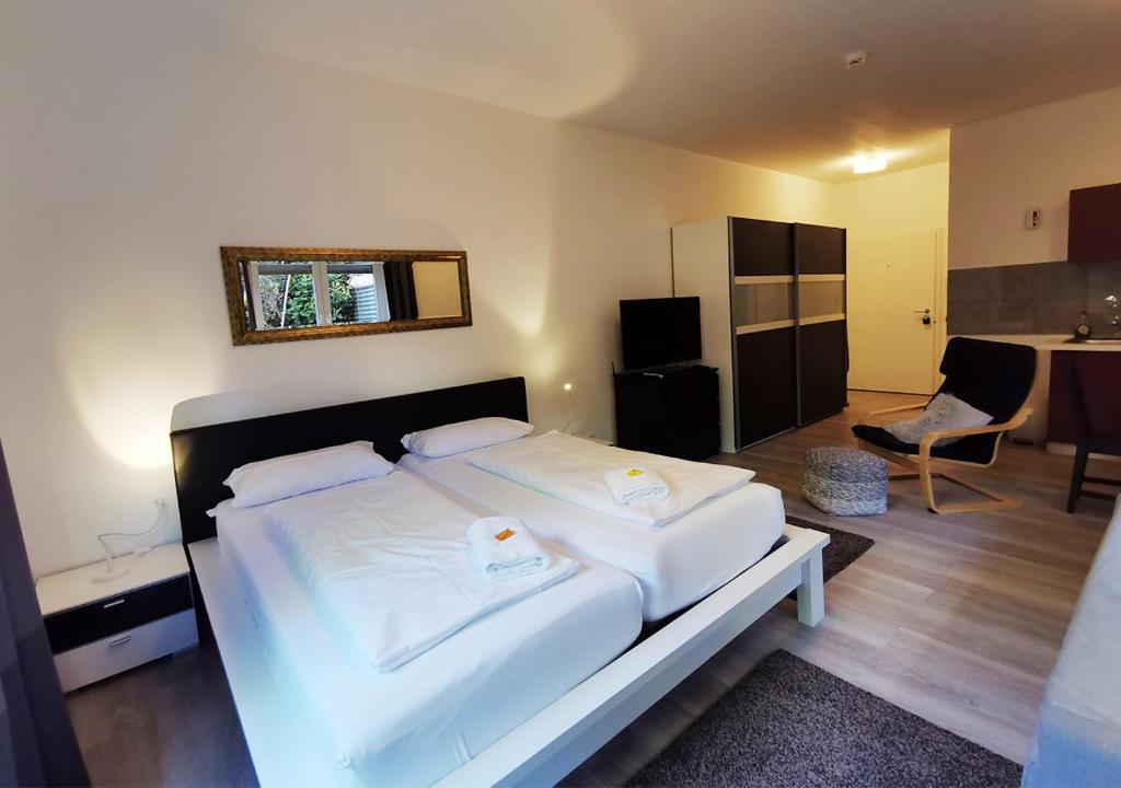 Appartements spacious studio - city centre - airconditioned - netflix - terrace 21 Bergheimer Straße ground floor 69115 Heidelberg