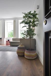 Spot Apartments Casa Januario