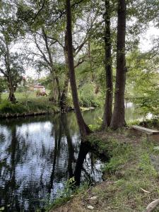 Appartements Spreewaldhaus am Landgut - Pretschen 4 Am Landgut 15913 Markische Heide Brandebourg
