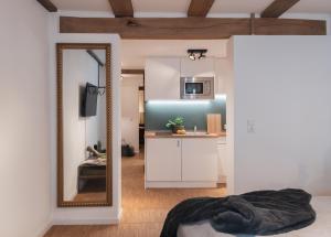 St. Salvator Apartments