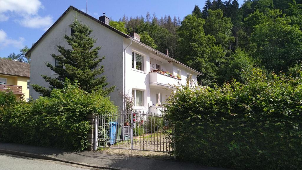 Appartements Steinatal An der Waldpromenade 8 37441 Bad Sachsa