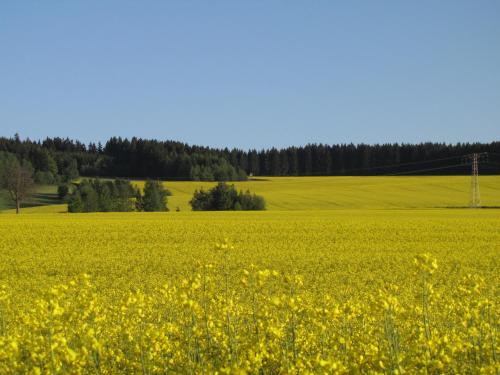 Stollenklause