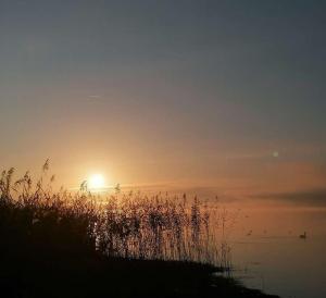 Strandbungalow Reichenau
