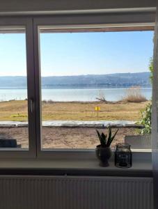 Strandbungalow Reichenau