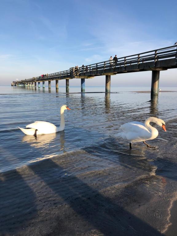 Strandvilla Waldhaus STRANDPROMENADE 57, 23946 Boltenhagen