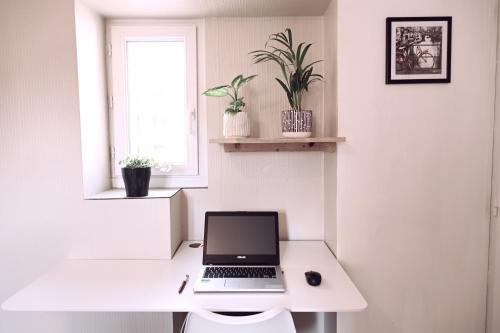 Studio en duplex en centre ville