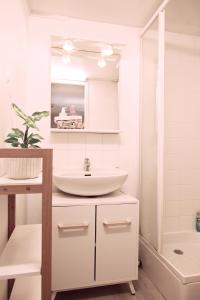 Studio en duplex en centre ville