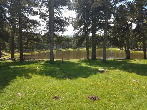 Studio flocon pied de piste