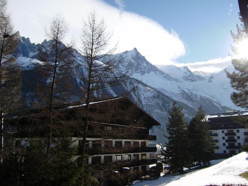 Appartements Studio Les Drus / Studio du Brévent 150 Chemin des Bios, Résidence du Brévent 74400 Chamonix-Mont-Blanc