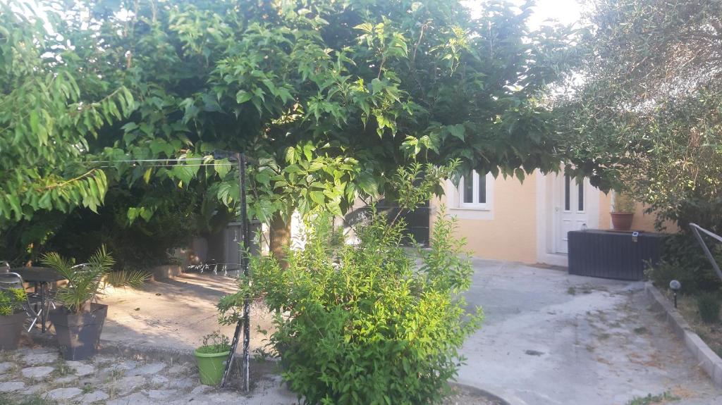 Studio Village Naturiste S in the City Angel 34300 Le Cap d\'Agde