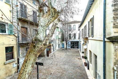 Studios entre le Pont d' Avignon et le Palais des Papes