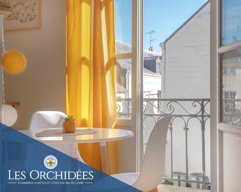 Appartements Studios Les Orchidées Océane Saumur 10 Rue de la petit douve 49400 Saumur