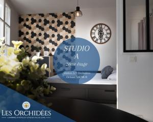 Appartements Studios Les Orchidées Océane Saumur 10 Rue de la petit douve 49400 Saumur Pays de la Loire