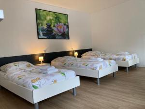 Studios Lora RM 860