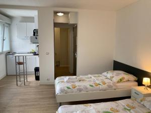 Appartements Studios Lora RM 860 86 Rue de Mulhouse 68300 Saint-Louis Alsace