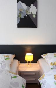 Studios near Basel Airport