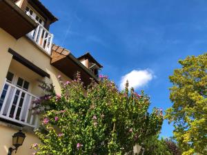 Suite Garance aux Cimaises de Janvry
