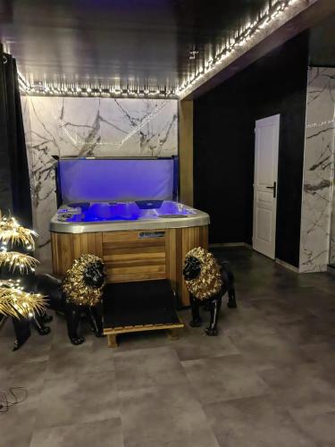 Suite romantique Jacuzzi Privatif Playroom
