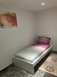 SWS Apartment