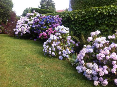 T1 ou T2 dans villa avec jardin proche Biarritz