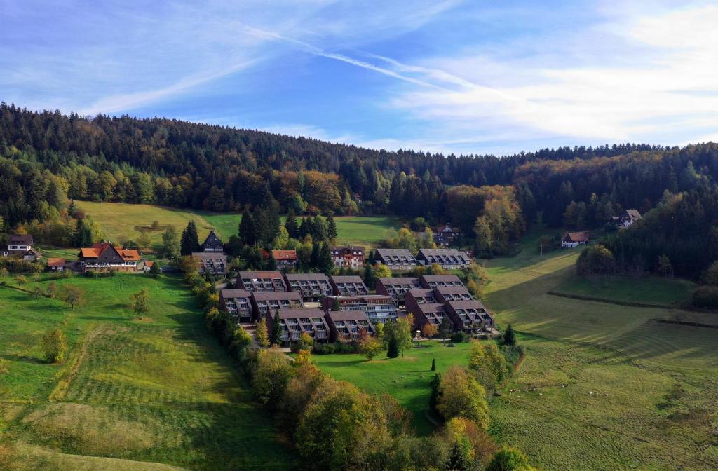 Terrassenpark Apartments Terrassenpark, Am Glöckelshof, 77887 Sasbachwalden