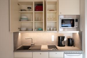The Alpine Ridge Apartment