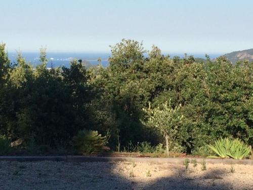 Three villa holiday apartments Cote d'Azur