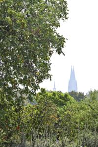 Top Apartments in zentraler Lage