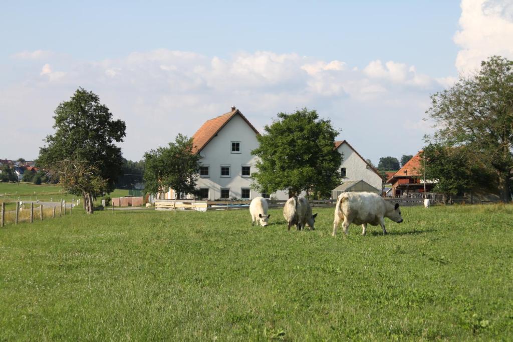 Traubshof 17 Oberbauer, 88416 Ochsenhausen