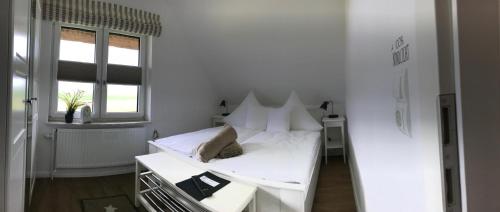 Appartements unter Reet Tümlauer Koog allemagne