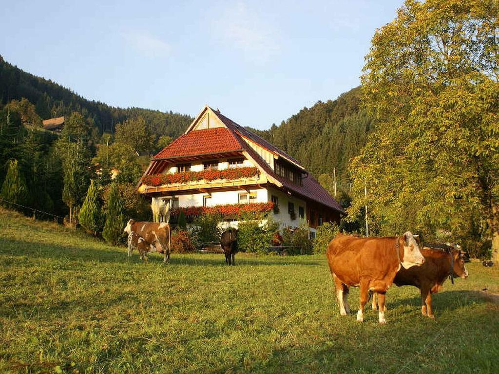Unterer Gurethshof Obertal 25, 77736 Zell am Harmersbach