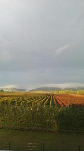 Appartements Valley ferienwohnung SÜW Lindenstrasse 60a 76831 Heuchelheim-Klingen Rhénanie-Palatinat