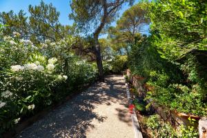 Appartements Villa Catleya Appart Hôtel 473 Boulevard Raymond Poincaré 83700 Saint-Raphaël Provence-Alpes-Côte d\'Azur