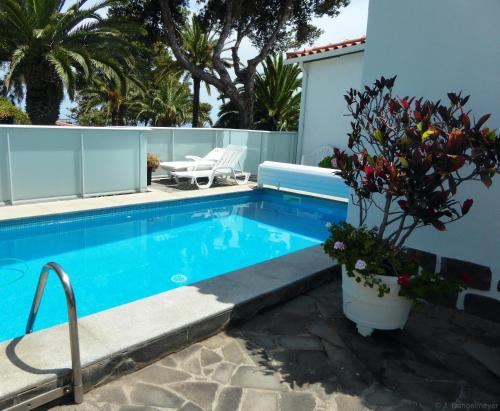 Villa Erika Madeira